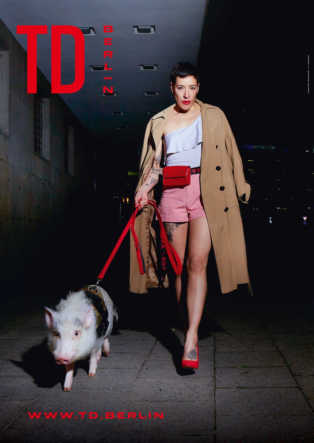 Theater Discount Plakat Schwein